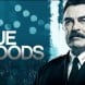 Blue Bloods est renouvele pour une onzime saison par CBS !