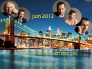 Blue Bloods Calendriers 2013 
