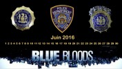 Blue Bloods Calendriers 2016 